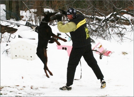 Training in USA 12/2007