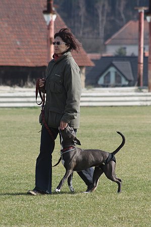 177.JPG