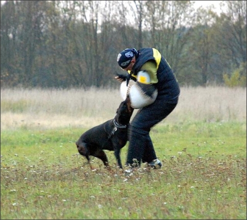 Training in Estonia 9/2007