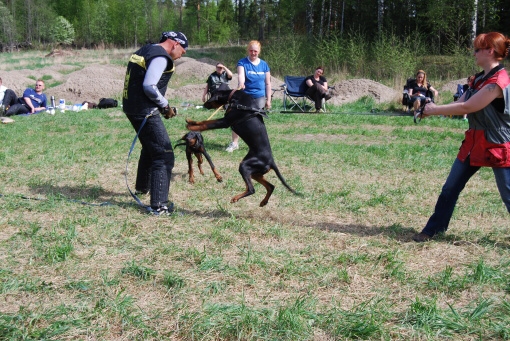Training in Finland 9. - 11. 5. 2008