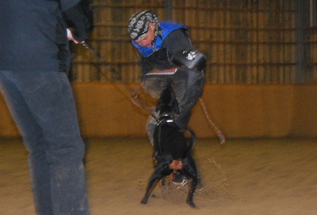 DSC_0175.JPG