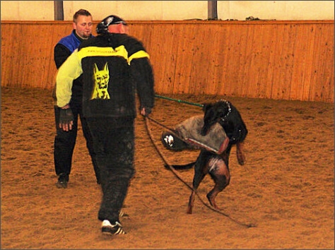 Training in Finland 1/2008