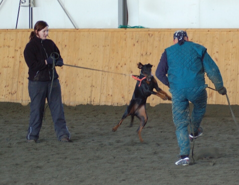 Training in Finland 3/2007
