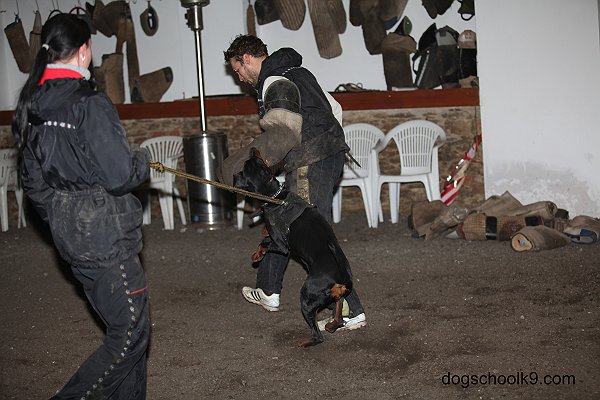 hala leden obrany 086.jpg