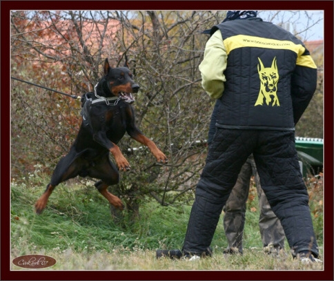 Training in Hungary 10/2007