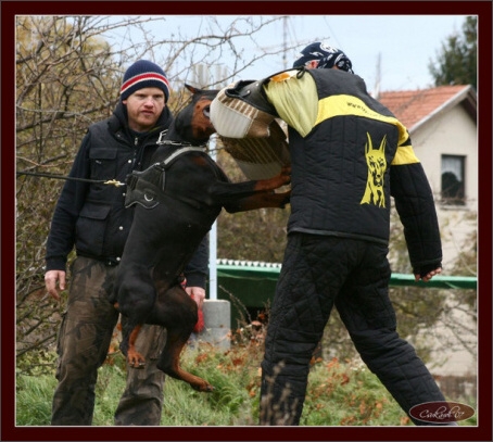 Training in Hungary 10/2007
