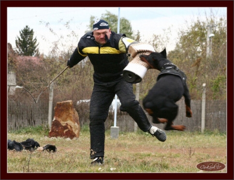 Training in Hungary 10/2007