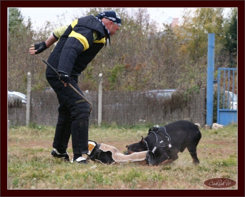 Training in Hungary 10/2007