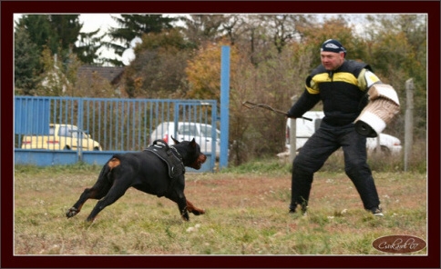 Training in Hungary 10/2007