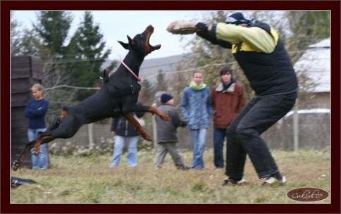 Training in Hungary 10/2007