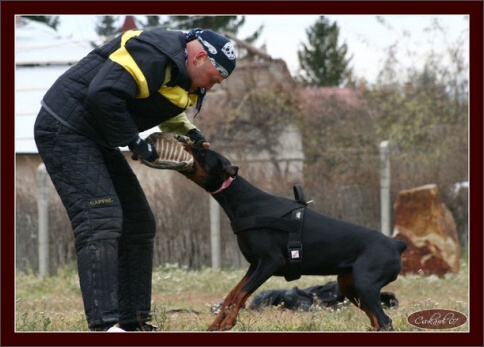 Training in Hungary 10/2007