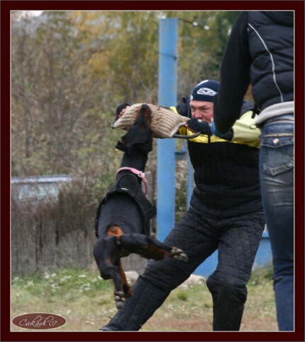 Training in Hungary 10/2007