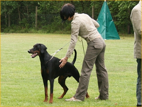 Lucie and Cliff vom Beuchower Hof_Korung_2007.jpg