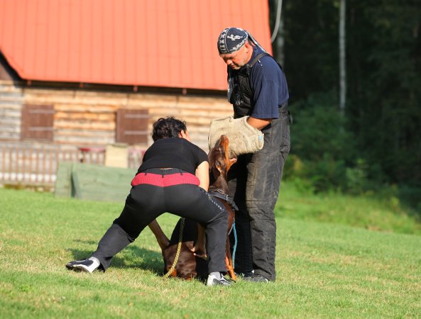 IMG_8478.JPG