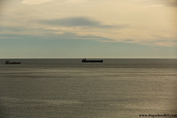 8W4A8342.JPG