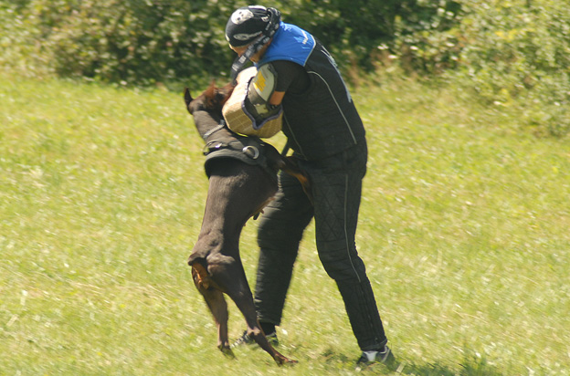 Jelenec ztp 2009 583 (429).jpg