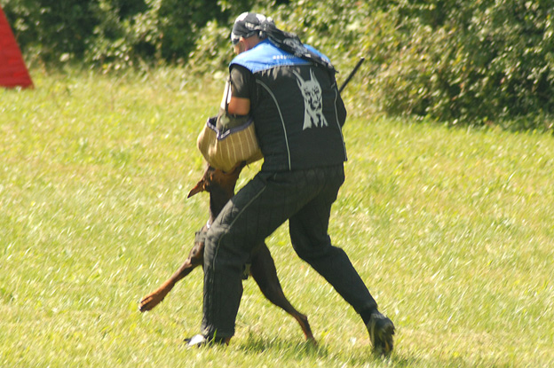 Jelenec ztp 2009 583 (444).jpg