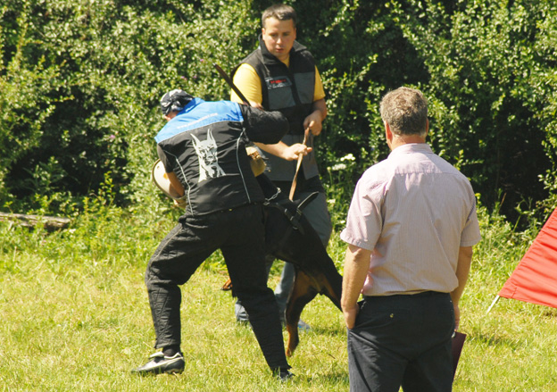 Jelenec ztp 2009 583 (493).jpg
