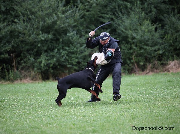 IMG_3789.JPG