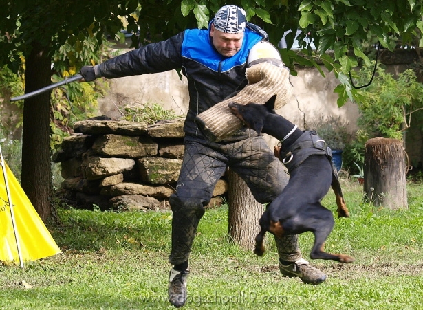 _A295987.jpg