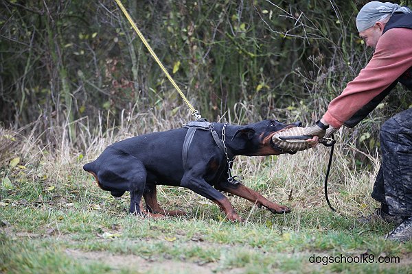 IMG_9651.JPG