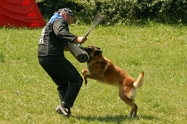 DSC_0207.jpg