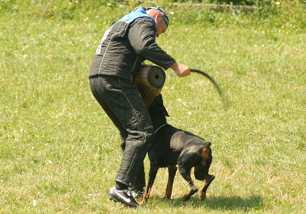 DSC_0341.jpg