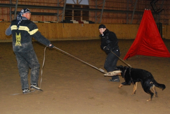 DSC_0249.jpg