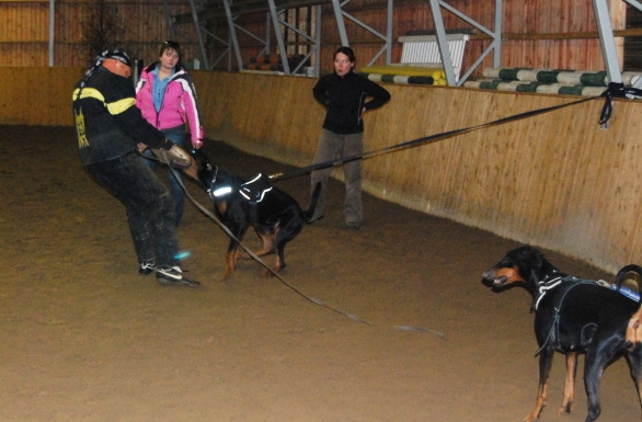 DSC_0314.jpg