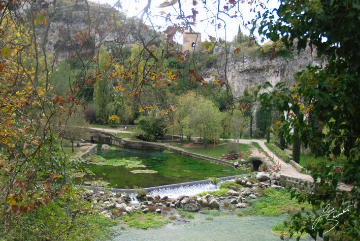 _A235488.jpg