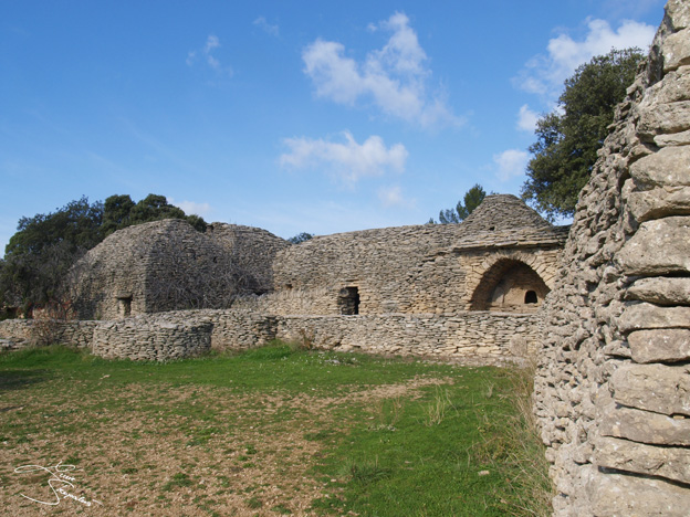 _B265443.jpg