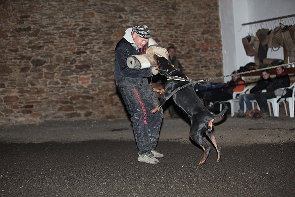 PPČ 834.jpg