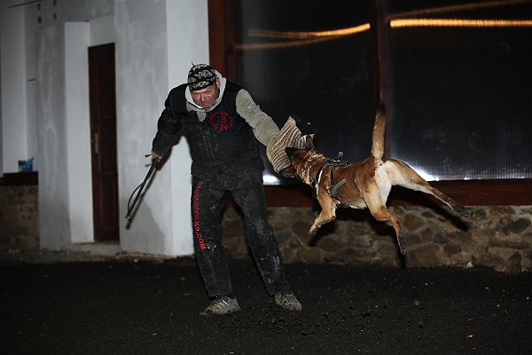 PPČ 855.jpg