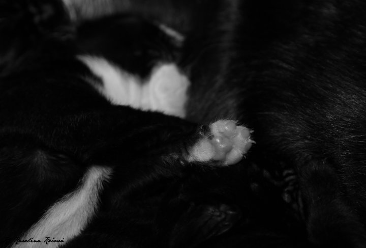 8W4A0084.JPG