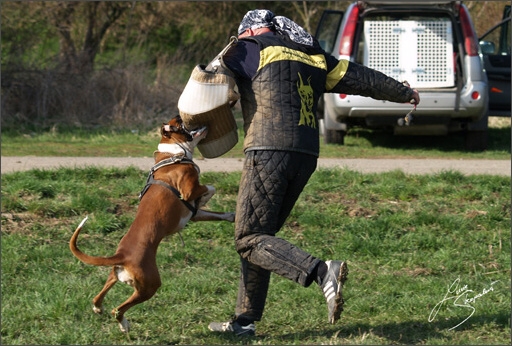 Training in Prague Spring 2008