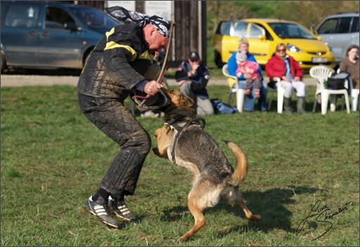 Training in Prague Spring 2008