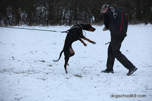 leden2013 385.jpg
