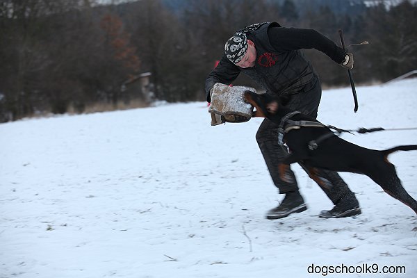 leden2013 389.jpg
