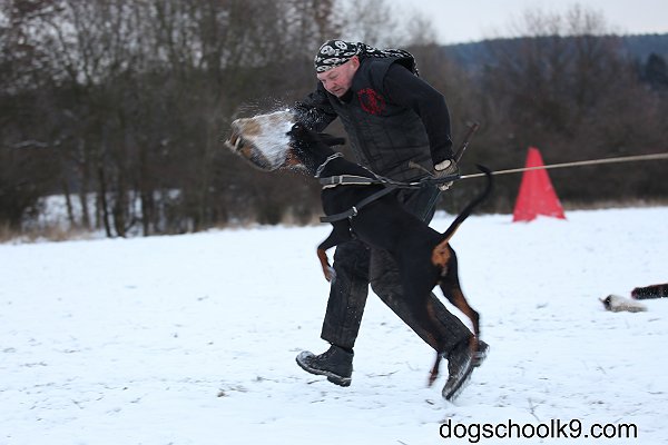 leden2013 399.jpg