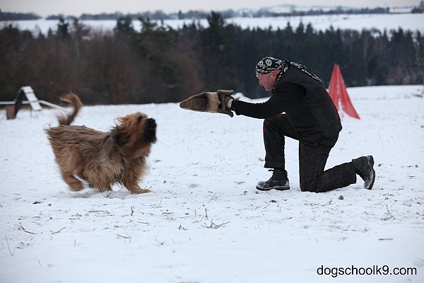 leden2013 443.jpg