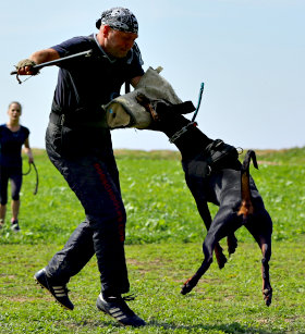 BAT-BARUUN DU FEU D'ARAMON