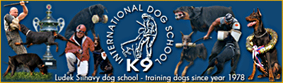 Dog school K-9